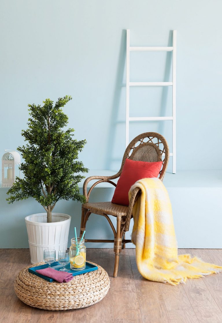 Clean And Colorful is in Vogue
