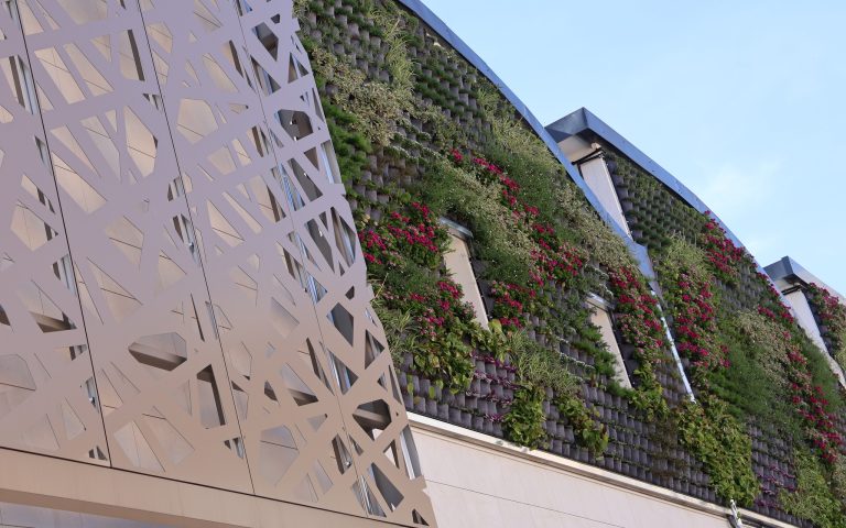Roban más de 15 macetas del nuevo jardín vertical del Mercado Central