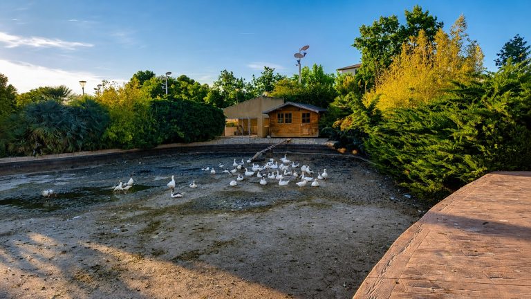 El Ayuntamiento culmina la limpieza del Lago del Cespín